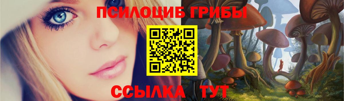 Галлюциногенные грибы GOLDEN TEACHER  купить   Галлюциногенные грибы GOLDEN TEACHER  Белорецк  Вход с VPN 